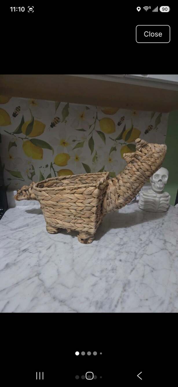 Woven Dinosaur Basket Storage Container